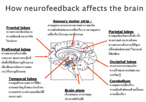 neurofeedback_BRAIN_AFFECTS_MAP